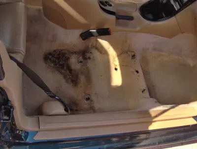 interior car detailing orlando