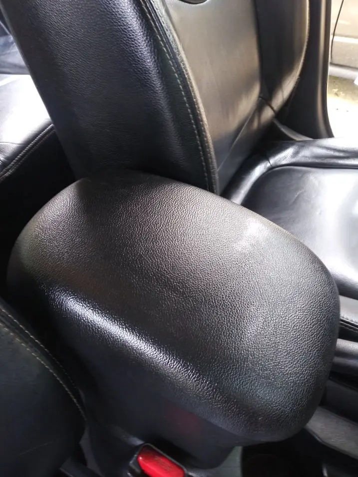 car mold removal orlando