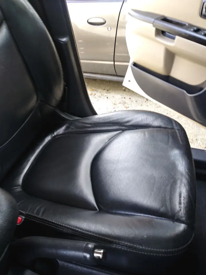 car mold removal orlando