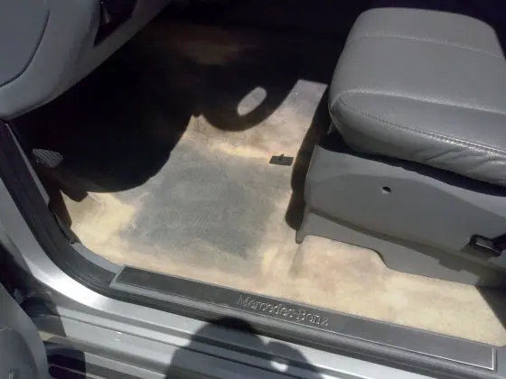 Carpet Dying Orlando Fl