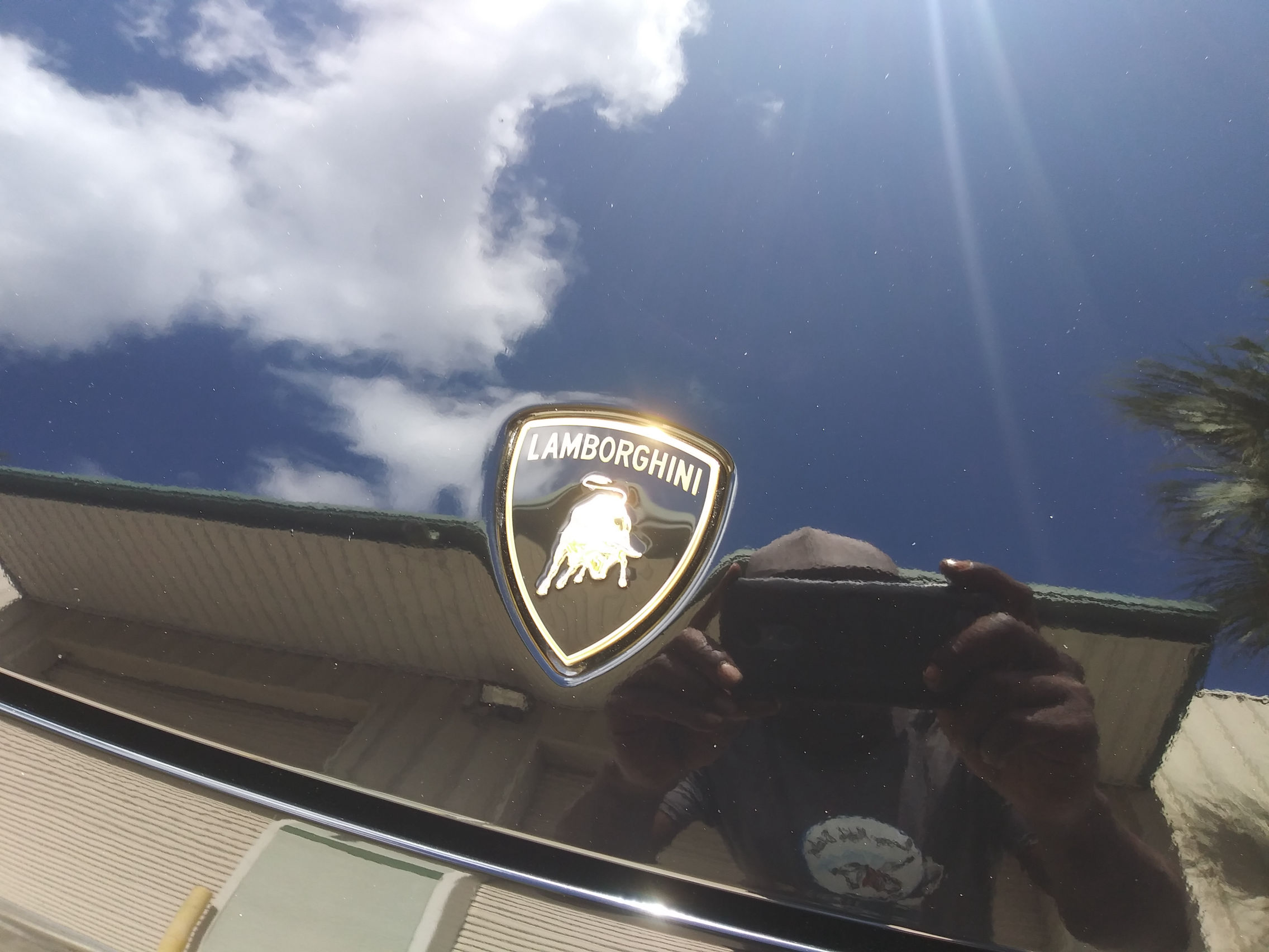 ceramic coating orlando florida