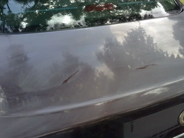 Paint correction Kissimmee Fl_(2