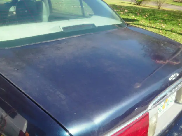 Paint Correction Winter Park Fl