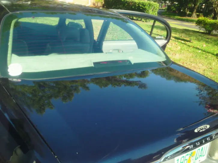 Paint Correction Winter Park Fl