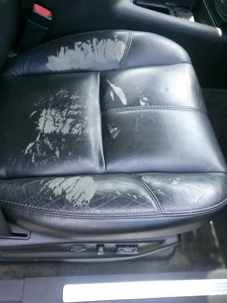 Seat Dying Orlando Fl